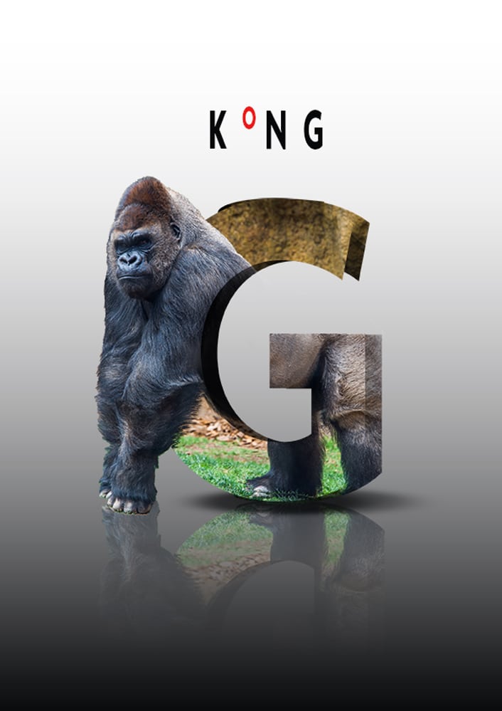 Gorilla